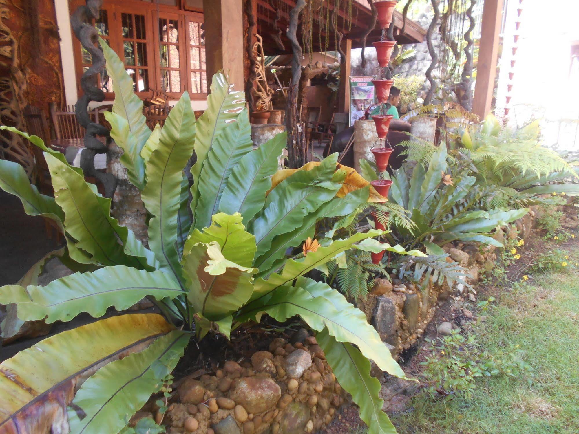 Sapphire Holiday Resort Ratnapura Exterior foto